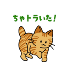 猫いた！（個別スタンプ：4）