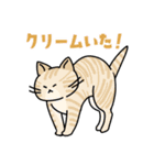 猫いた！（個別スタンプ：5）
