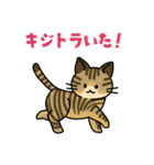 猫いた！（個別スタンプ：6）