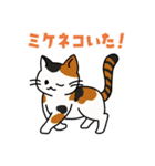 猫いた！（個別スタンプ：9）