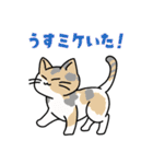 猫いた！（個別スタンプ：10）