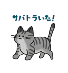 猫いた！（個別スタンプ：12）