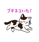 猫いた！（個別スタンプ：14）