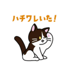 猫いた！（個別スタンプ：15）