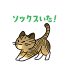 猫いた！（個別スタンプ：16）