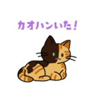 猫いた！（個別スタンプ：17）