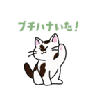 猫いた！（個別スタンプ：18）