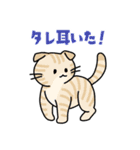 猫いた！（個別スタンプ：20）