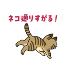 猫いた！（個別スタンプ：23）