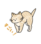 猫いた！（個別スタンプ：29）