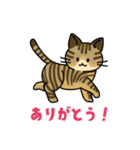 猫いた！（個別スタンプ：30）