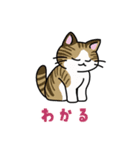 猫いた！（個別スタンプ：31）