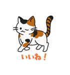 猫いた！（個別スタンプ：32）