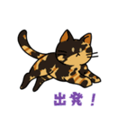 猫いた！（個別スタンプ：33）