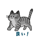 猫いた！（個別スタンプ：34）