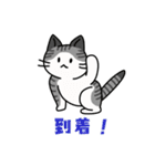 猫いた！（個別スタンプ：35）
