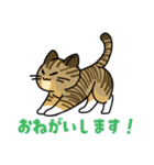 猫いた！（個別スタンプ：37）