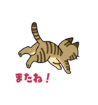 猫いた！（個別スタンプ：40）