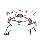 いきものだもののウーパールーパー（個別スタンプ：9）