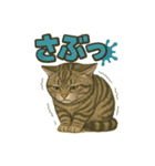 関西弁の愛らしい子猫スタンプ Part.1（個別スタンプ：3）