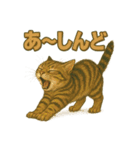 関西弁の愛らしい子猫スタンプ Part.1（個別スタンプ：5）