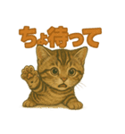 関西弁の愛らしい子猫スタンプ Part.1（個別スタンプ：9）