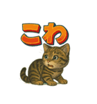関西弁の愛らしい子猫スタンプ Part.1（個別スタンプ：15）