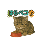 関西弁の愛らしい子猫スタンプ Part.1（個別スタンプ：16）