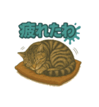 関西弁の愛らしい子猫スタンプ Part.1（個別スタンプ：17）