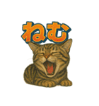 関西弁の愛らしい子猫スタンプ Part.1（個別スタンプ：19）