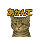 関西弁の愛らしい子猫スタンプ Part.1（個別スタンプ：22）