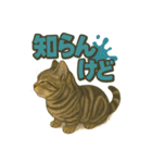 関西弁の愛らしい子猫スタンプ Part.1（個別スタンプ：24）