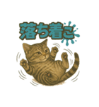 関西弁の愛らしい子猫スタンプ Part.1（個別スタンプ：36）