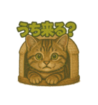 関西弁の愛らしい子猫スタンプ Part.1（個別スタンプ：40）