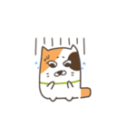 ちょみねこ♡第一弾♪（個別スタンプ：15）