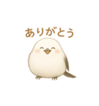 まるもふシマエナガ（個別スタンプ：13）