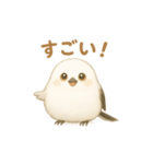 まるもふシマエナガ（個別スタンプ：21）