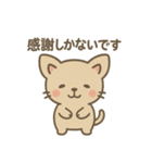 ゆるねこ感謝スタンプ（個別スタンプ：1）