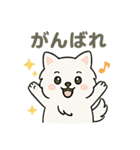 ハクの部屋／ずっと使えるいつもの会話（個別スタンプ：13）