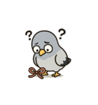 おっちょこ はとぽっぽ（個別スタンプ：1）