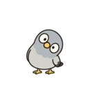 おっちょこ はとぽっぽ（個別スタンプ：7）