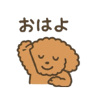トイプードルななちゃんの毎日スタンプ（個別スタンプ：1）