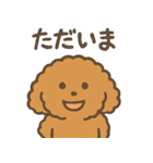 トイプードルななちゃんの毎日スタンプ（個別スタンプ：5）
