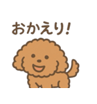 トイプードルななちゃんの毎日スタンプ（個別スタンプ：6）
