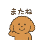 トイプードルななちゃんの毎日スタンプ（個別スタンプ：7）
