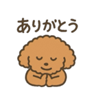 トイプードルななちゃんの毎日スタンプ（個別スタンプ：10）