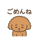 トイプードルななちゃんの毎日スタンプ（個別スタンプ：12）