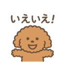 トイプードルななちゃんの毎日スタンプ（個別スタンプ：13）