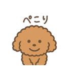 トイプードルななちゃんの毎日スタンプ（個別スタンプ：14）