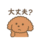 トイプードルななちゃんの毎日スタンプ（個別スタンプ：19）